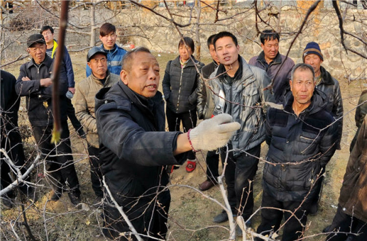 　　李保國（前左）在河北省內(nèi)丘縣崗底村向村民講解果樹修剪知識（2016年1月27日攝）。新華社記者 朱旭東 攝