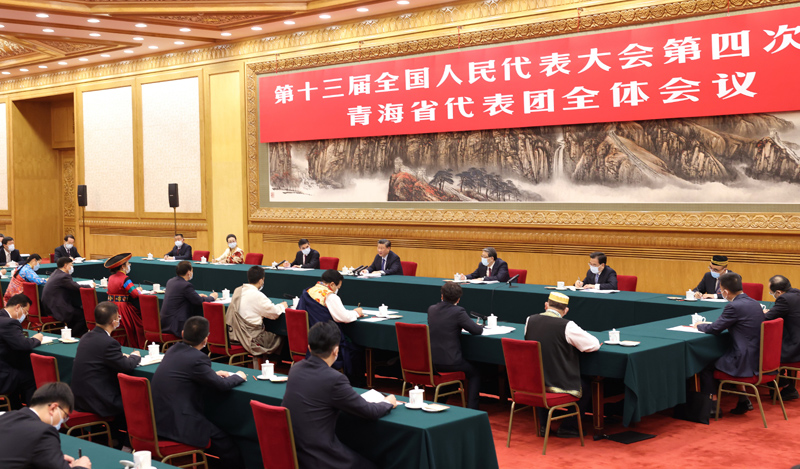 3月7日，中共中央總書記、國(guó)家主席、中央軍委主席習(xí)近平參加十三屆全國(guó)人大四次會(huì)議青海代表團(tuán)的審議。新華社記者 黃敬文 攝