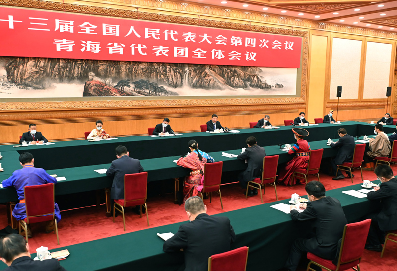 習(xí)近平參加青海代表團審議 