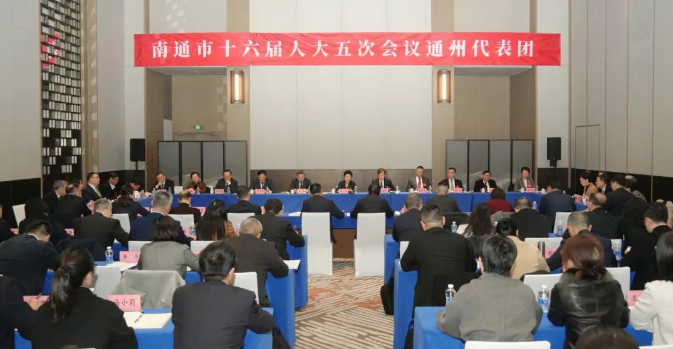 張彤參加通州代表團(tuán)審議